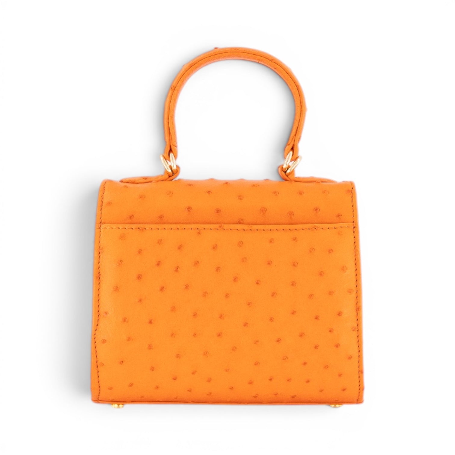 #Color_Orange