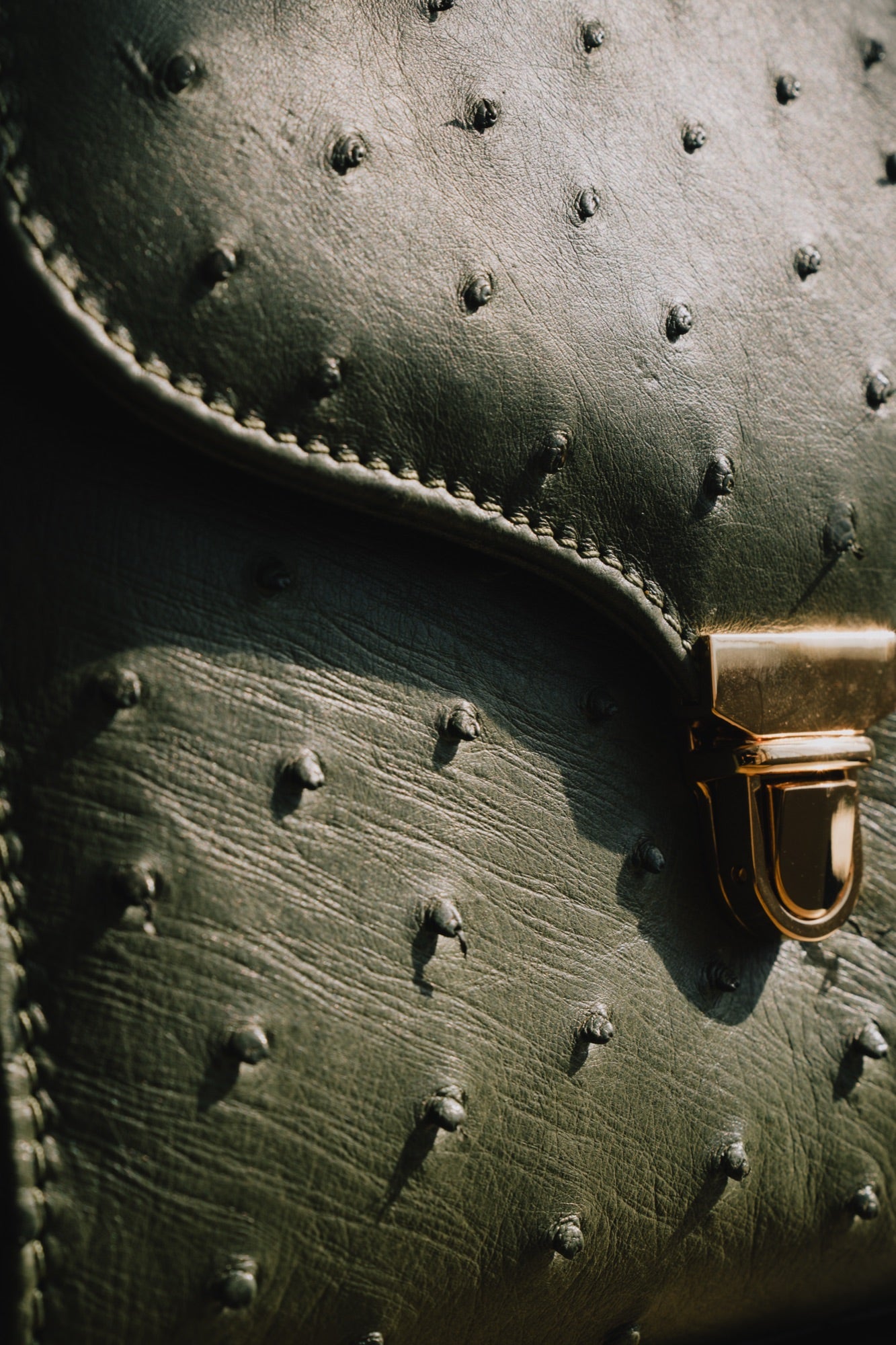 Close detail of ostrich leather texture and brass clasp on a Tuska bag