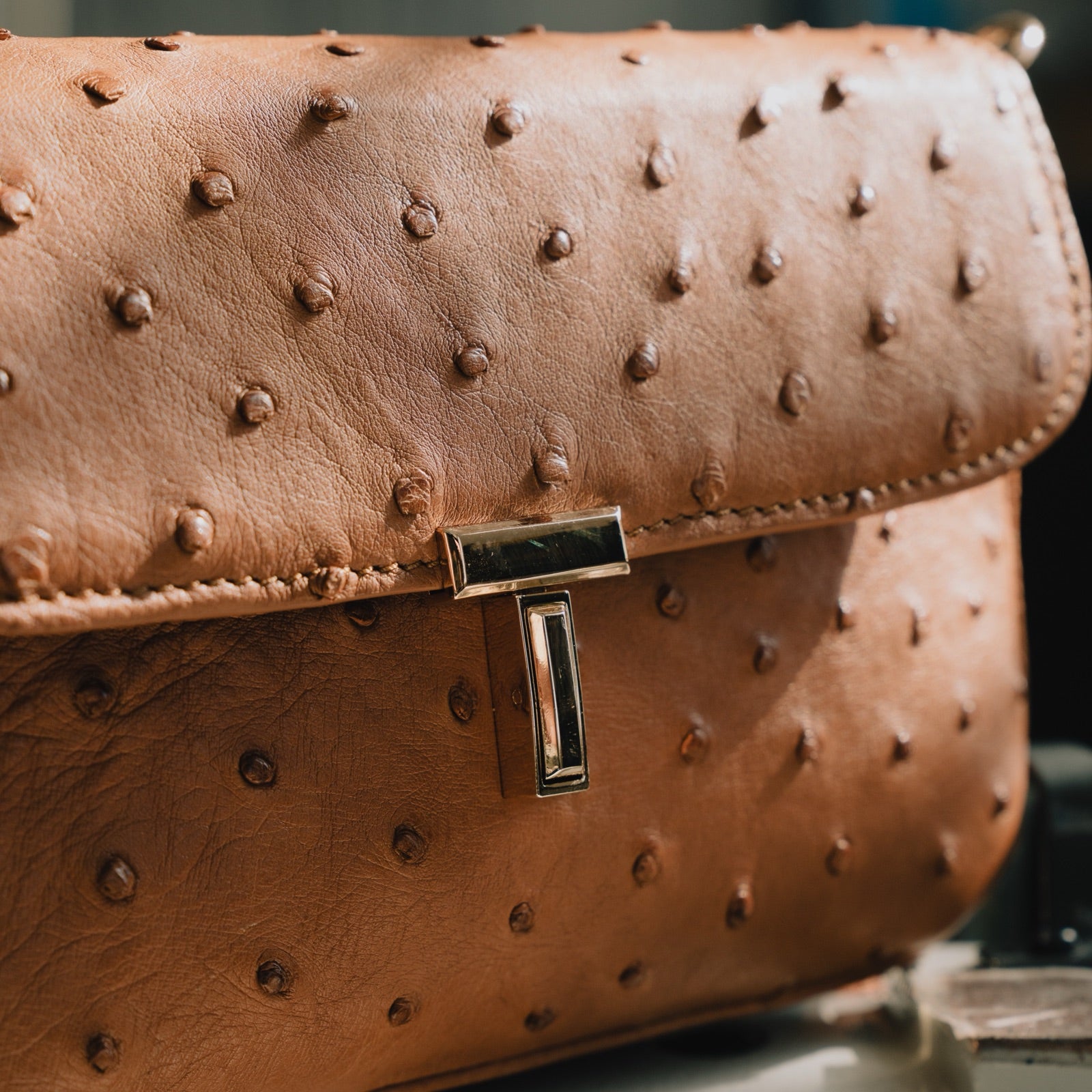 Tan ostrich leather developing its patina, brass clasp detail