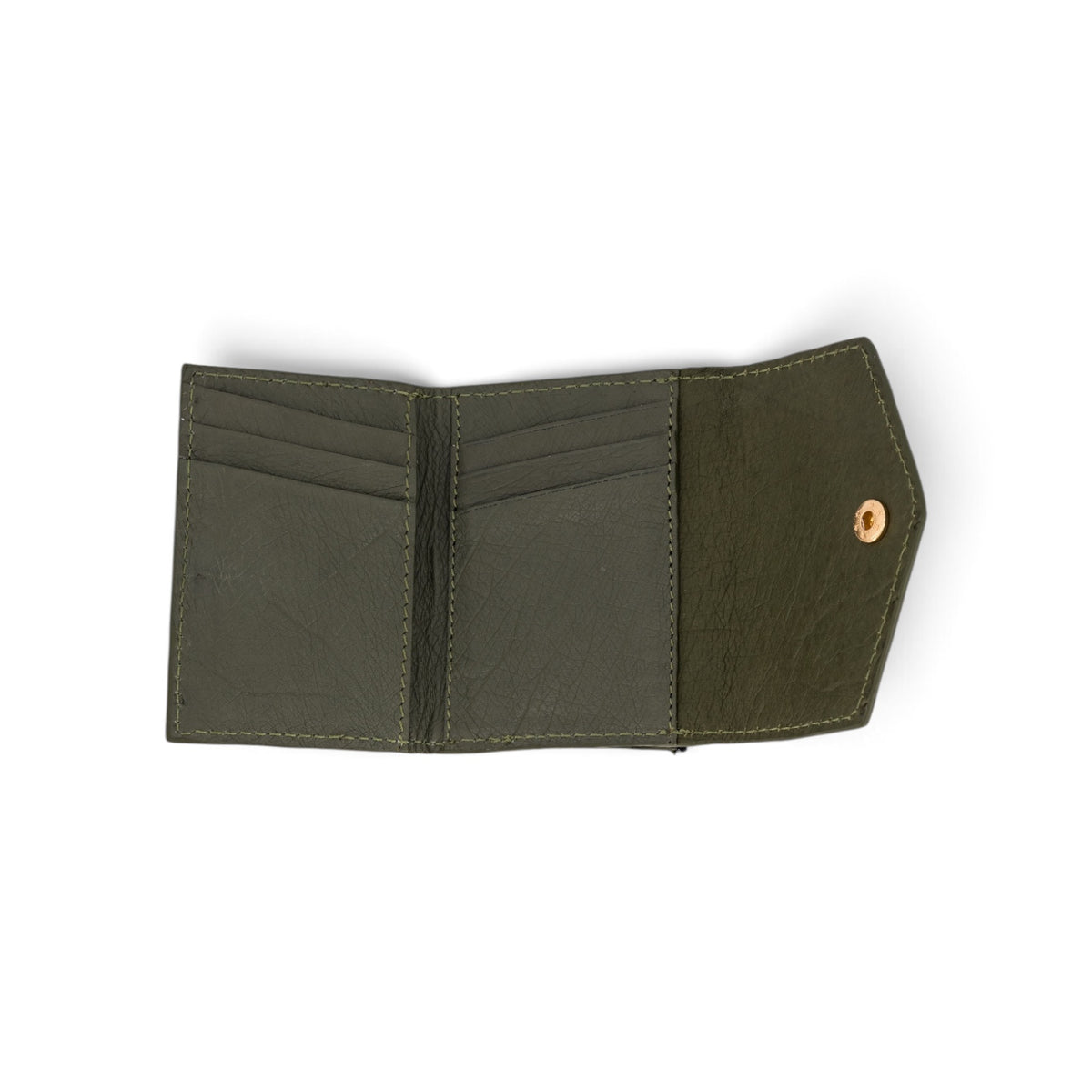 #Color_olive