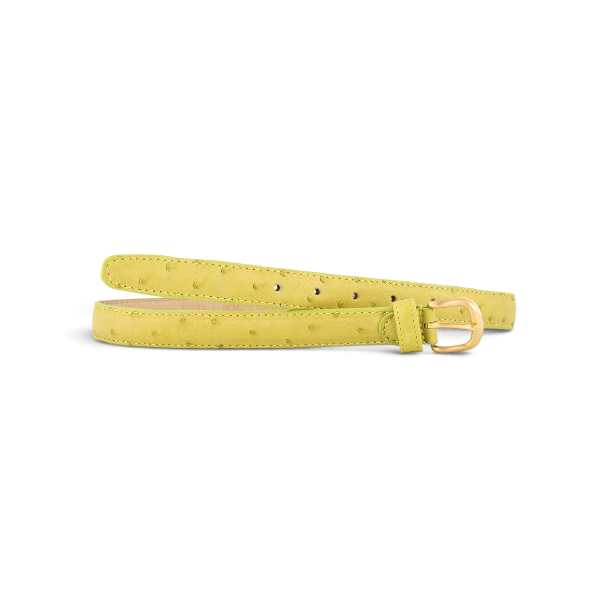 #Color_chartreuse